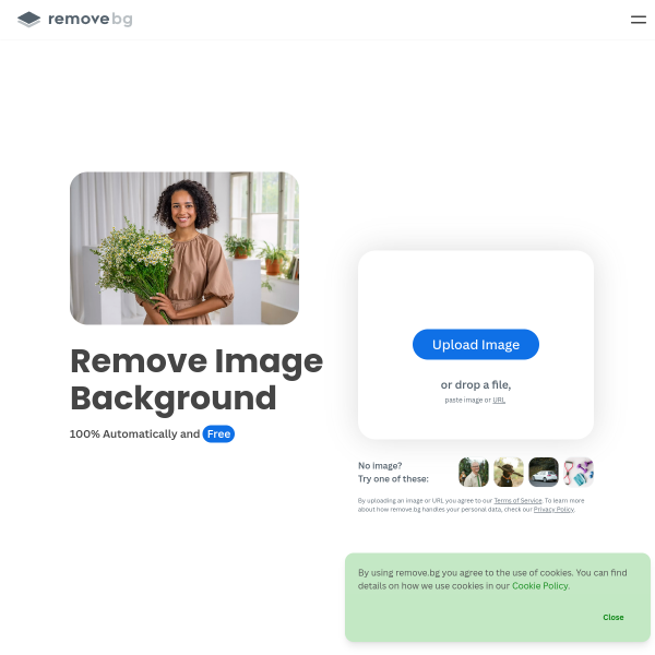 Remove.bg官网截图