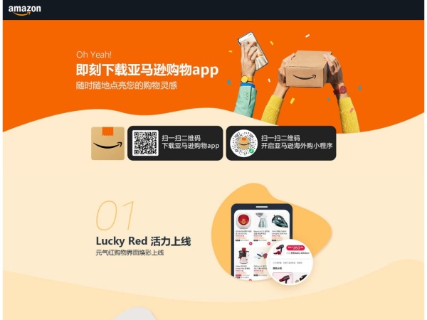 亚马逊中国官网截图