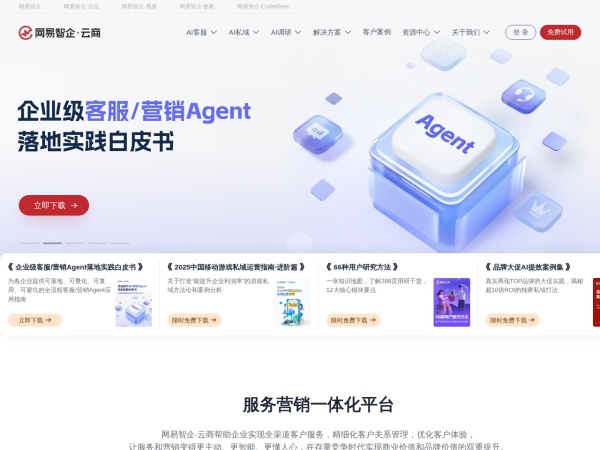 网易智企·云商官网截图