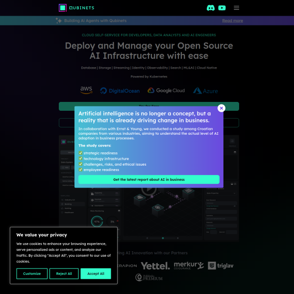 Qubinets官网截图