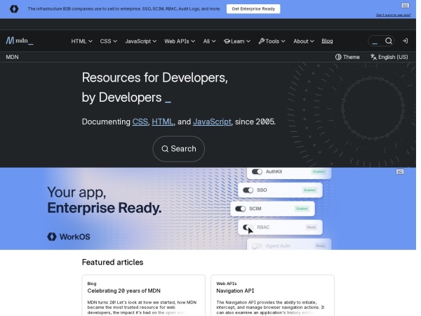MDN Web Docs官网截图